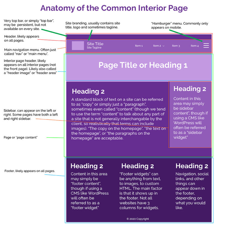 website for anatomy drawing